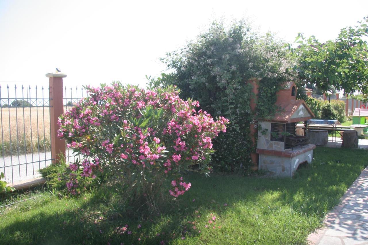 Daniel Studios Kallithea  Luaran gambar