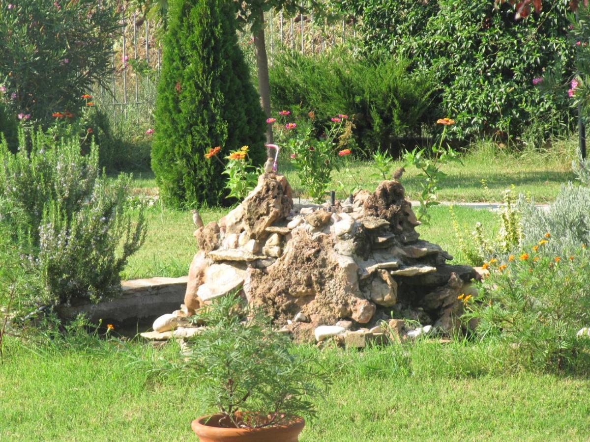 Daniel Studios Kallithea  Luaran gambar